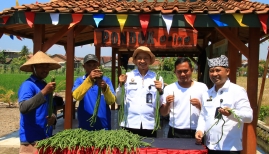 Berdayakan Warga Binaan, Lapas Banyuwangi Panen Perdana Kacang Panjang di Lahan SAE