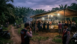 Diduga Arena Sabung Ayam di Dusun Bedengan Ambulu Beroperasi, Muncul Dugaan Adanya Backing Oknum Aparat