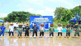 Dukung Ketahanan Pangan, Lapas Banyuwangi Tanam Padi di SAE Pakis