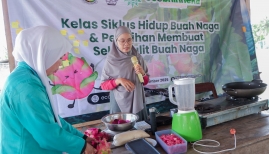 Eco Bhinneka Manfaatkan Limbah Kulit Buah Naga untuk Ciptakan Produk Berkelanjutan
