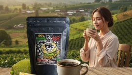 Kopi Nongko Sesigar, Perpaduan Robusta–Arabika Khas Banyuwangi dengan Cita Rasa dan Khasiat Unik