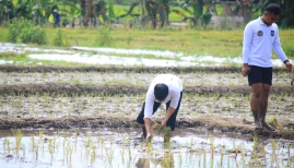 Lahan SAE Lapas Banyuwangi Mulai Ditanam Padi, Kalapas: Dukung Ketahanan Pangan dan Wujud Program Pembinaan