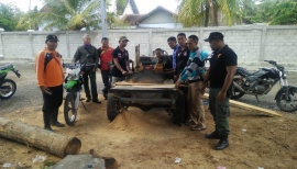 Perum Perhutani KPH Banyuwangi Selatan gencar perangi pencurian kayu