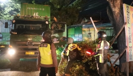 Respon Cepat;  Polresta Banyuwangi Lakukan Evakuasi Pohon Tumbang  Di Jalan Wilayah Kalipuro