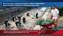 Revitalisasi Sungai Kalimati, Dinas Perikanan Banyuwangi Perketat Pengawasan IPAL 