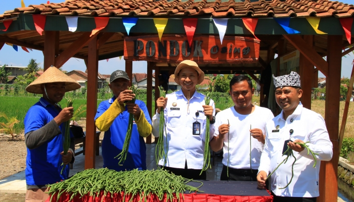 Berdayakan Warga Binaan, Lapas Banyuwangi Panen Perdana Kacang Panjang di Lahan SAE