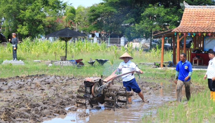 Beri Contoh Teladan, Kalapas Banyuwangi Terjun Langsung Dalam Pembajakan Sawah di Lahan SAE