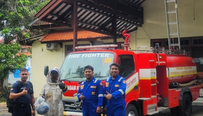 Damkarmat Banyuwangi Sigap Evakuasi Sarang Tawon Vespa di Villa Pakis Residence
