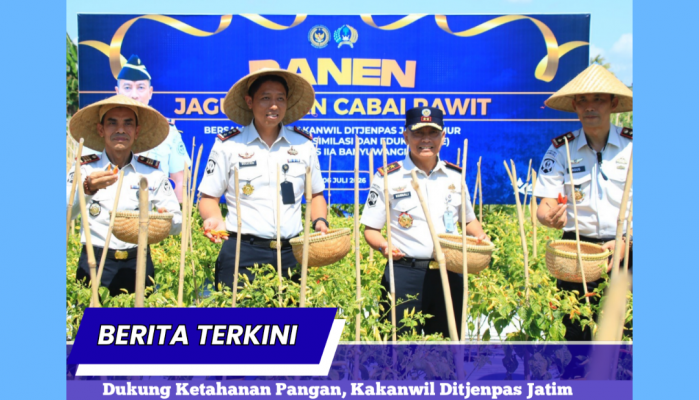 Dukung Ketahanan Pangan, Kakanwil Ditjenpas Jatim Hadiri Panen Jagung dan Cabai di Lahan SAE Paswangi