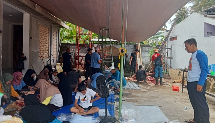Gotong Royong Warga Wujudkan Kurban Berkualitas di Puri Kertosari Banyuwangi