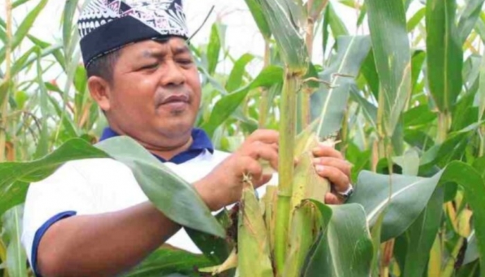 Jejak Pengabdian I Wayan Nurasta Wibawa di Banyuwangi Tinggalkan Kesan Positif