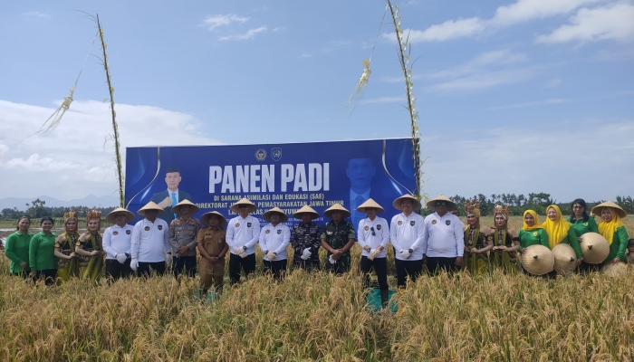Lapas Kelas IIA Banyuwangi Gelar Panen Padi di Sarana Asimilasi dan Edukasi, Dukung Program Swasembada Pangan