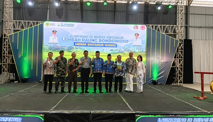 PT Samudra Indo Pangan Luncurkan Beras Sintanur Lembah Raung Perkuat Ketahanan Pangan Bondowoso 