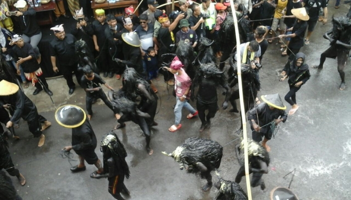 RITUAL KEBO-KEBOAN. ALAS MALANG BANYUWANGI 